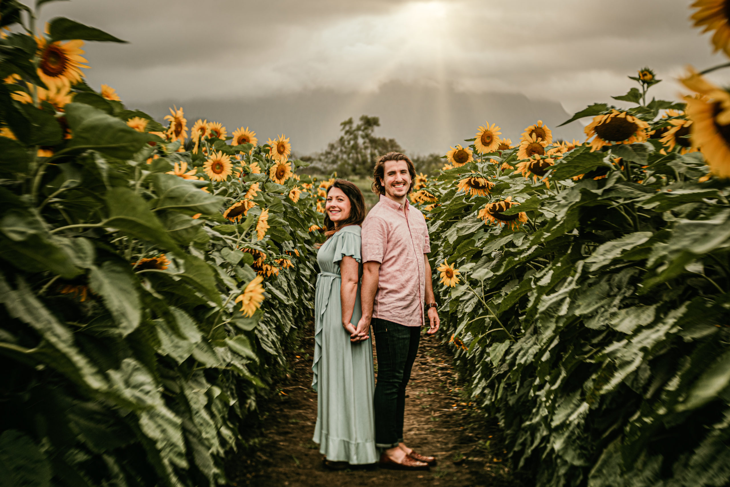 Sunflower Photoshoot Engagement