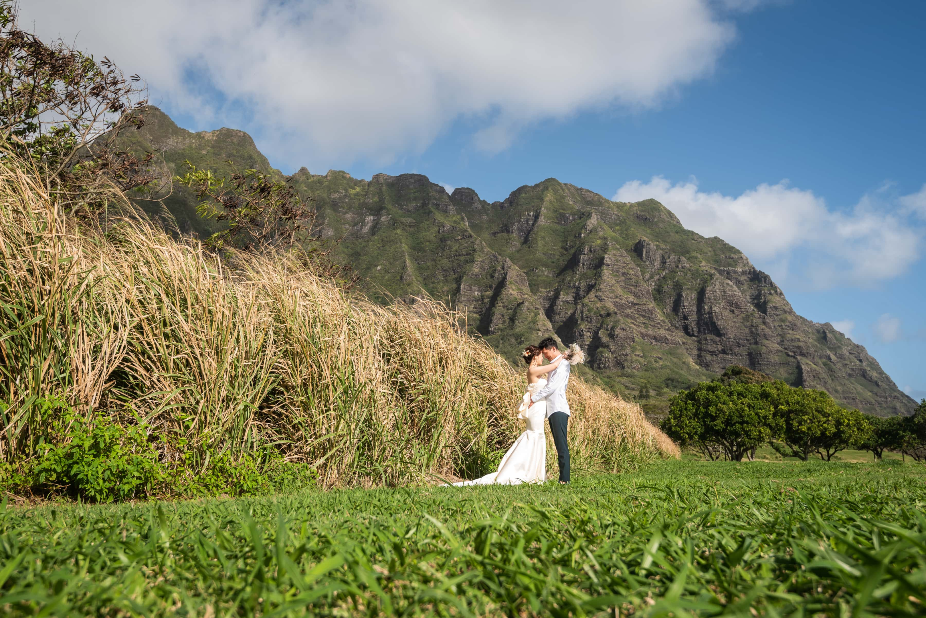 Photo of a couple exchanging vows with beautiful Hawaiian mountains in Oahu